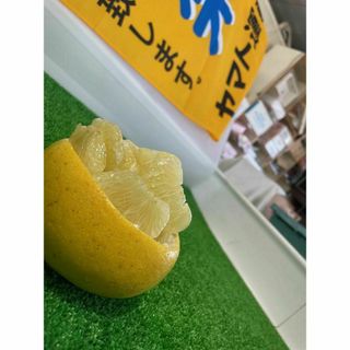 ハマる人続出！土佐ハウス文旦 5Kg(フルーツ)