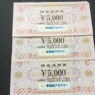 早稲田アカデミー　株主優待券15000円分(その他)