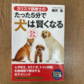 カリスマ訓練士のたった５分で犬はどんどん賢くなる(住まい/暮らし/子育て)