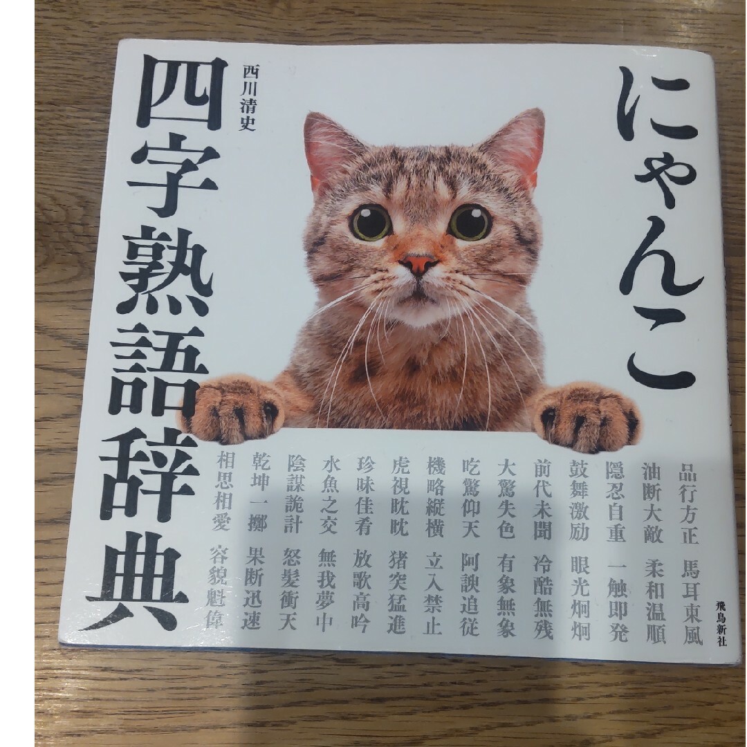 にゃんこ四字熟語辞典 エンタメ/ホビーの本(人文/社会)の商品写真