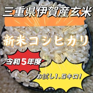 888→799円！新米！玄米！お試し【令和5年産】三重県 伊賀米 コシヒカリ(米/穀物)