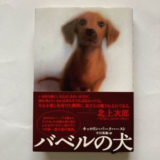 カドカワショテン(角川書店)のバベルの犬【匿名配送】(文学/小説)