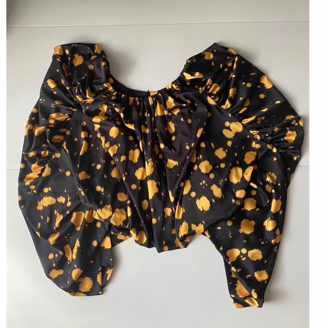 DRIES VAN NOTEN(ドリスヴァンノッテン)のDRIES VAN NOTEN トップス レディースのトップス(シャツ/ブラウス(長袖/七分))の商品写真