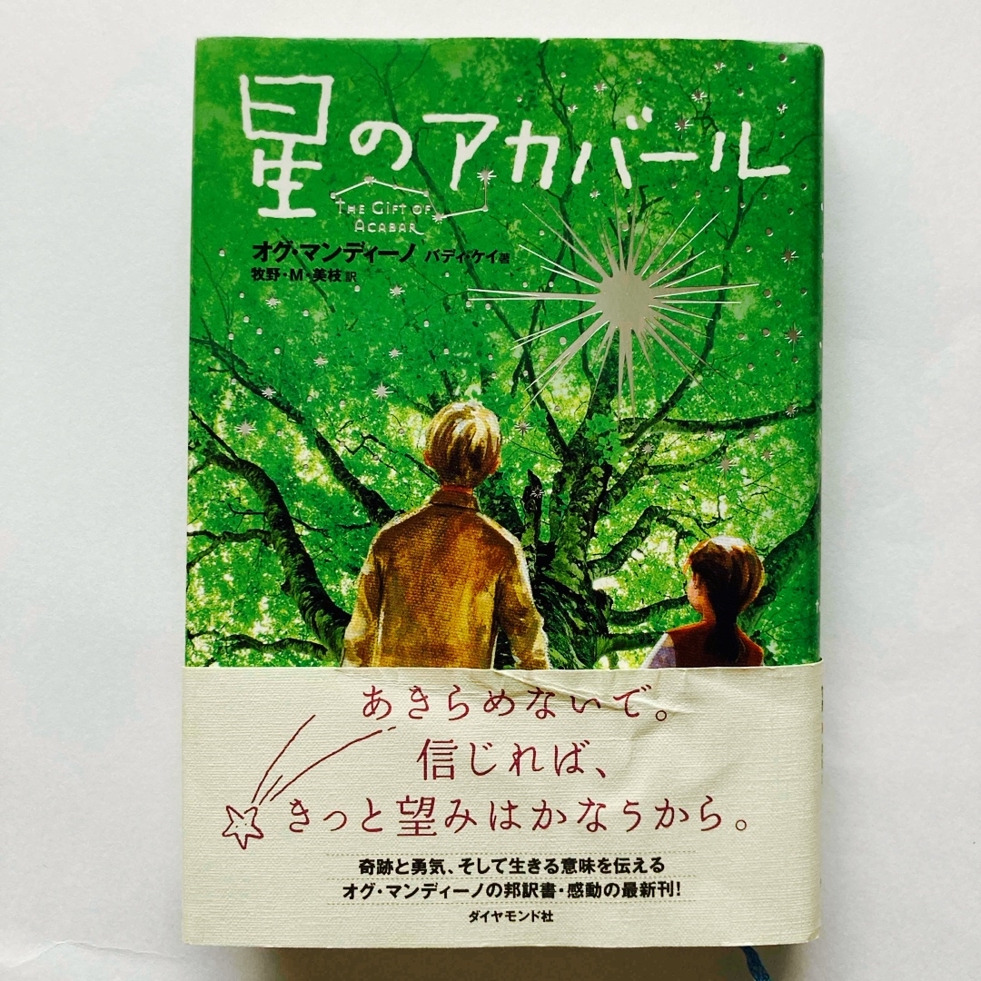 ダイヤモンド社(ダイヤモンドシャ)の星のアカバ－ル【匿名配送】 エンタメ/ホビーの本(文学/小説)の商品写真