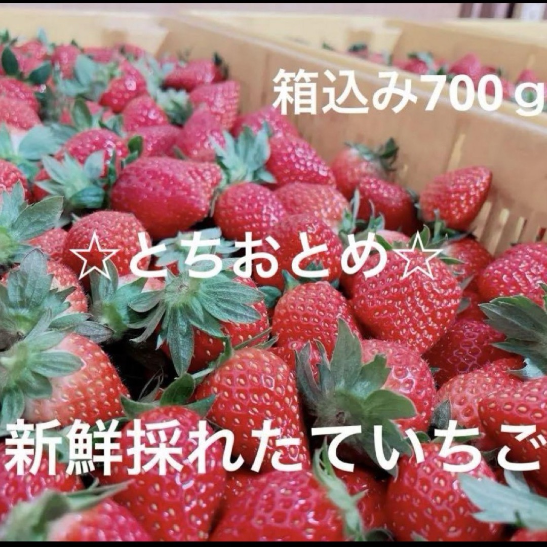 イチゴ【とちおとめ】箱込み700ｇ 食品/飲料/酒の食品(フルーツ)の商品写真