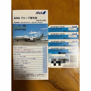 エーエヌエー(ゼンニッポンクウユ)(ANA(全日本空輸))のANA株主優待4枚&優待券おまけつき(航空券)