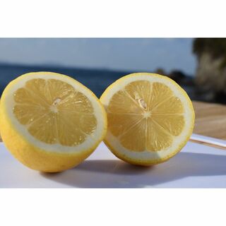 🍋今が完熟🍋愛媛県産レモン　家庭用　１ｋｇ（7個前後）(フルーツ)