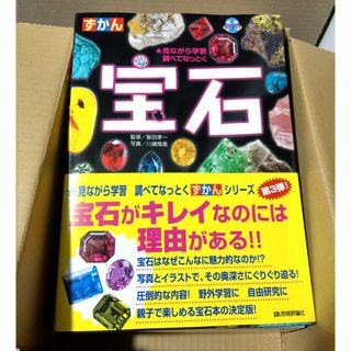 1/16まで　ずかん宝石 見ながら学習調べてなっとく(絵本/児童書)