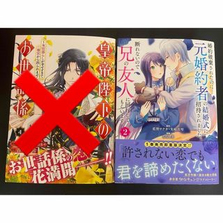 婚約破棄されたのに元婚約者の結婚式… 二度目の異世界、少年だった彼は年上…4 (青年漫画)