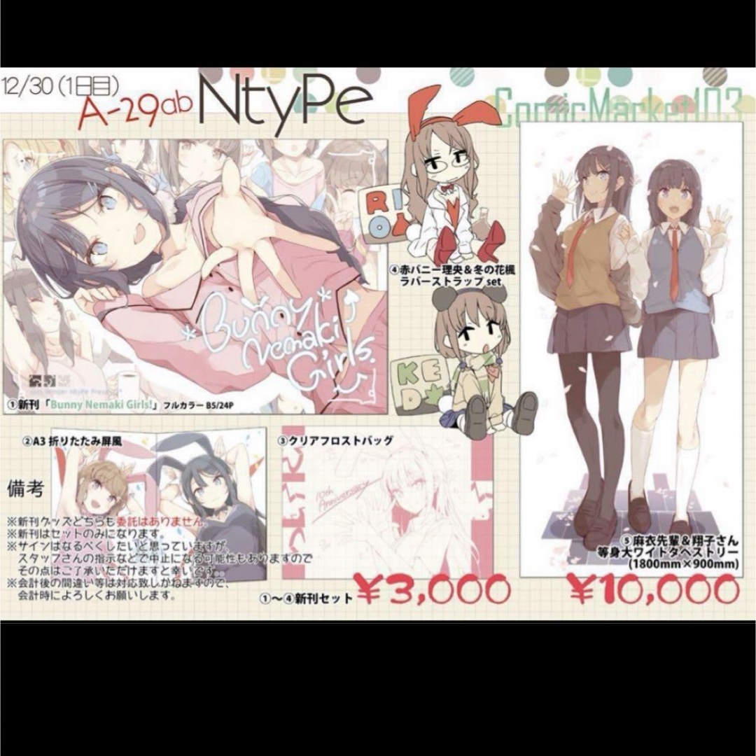 【C103】NtyPe 青春ブタ野郎シリーズ 新刊セット+ワイドタペストリーおもちゃ/ぬいぐるみ