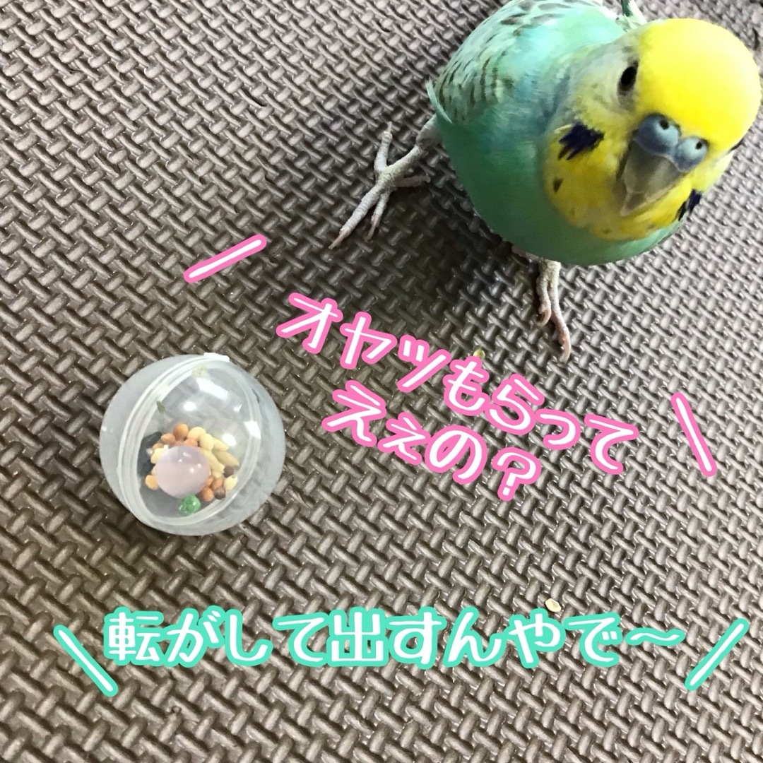 フォージングボール★インコや文鳥の小鳥のハンドメイドおもちゃ　バードトイ ハンドメイドのペット(おもちゃ/ペット小物)の商品写真