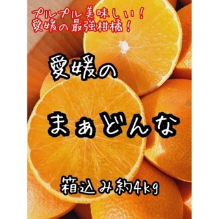 愛媛県産　まぁどんな　箱込み約4Kg  柑橘　ミカン(フルーツ)