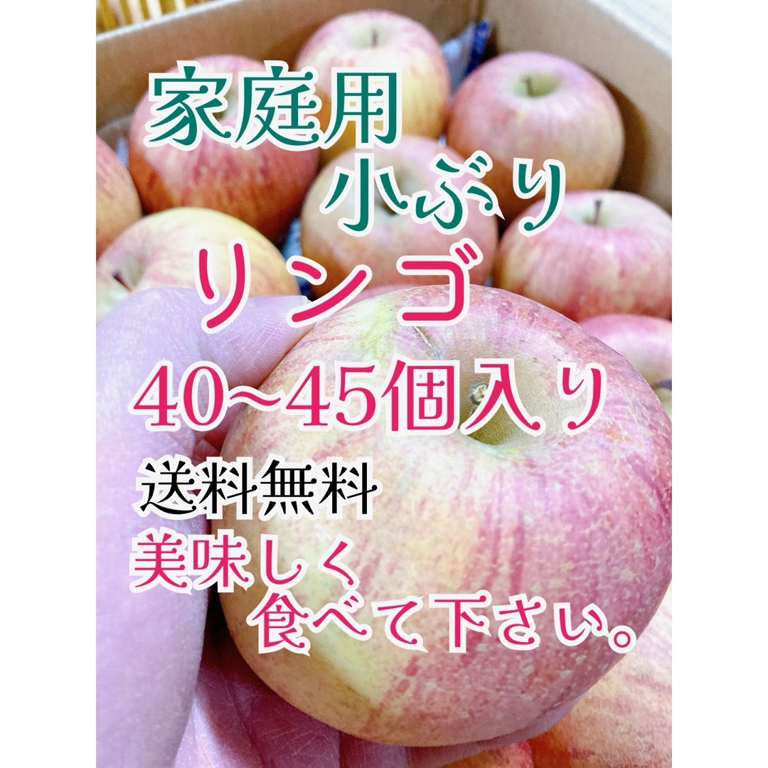 1月18日発送。会津の葉取らず家庭用小ぶりリンゴ 食品/飲料/酒の食品(フルーツ)の商品写真