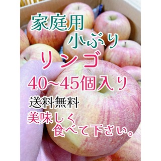 1月18日発送。会津の葉取らず家庭用小ぶりリンゴ(フルーツ)