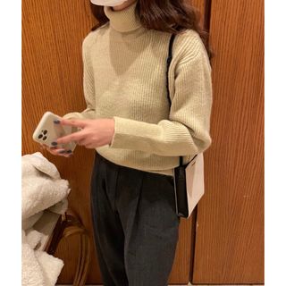 【かなり美品】Didot.showroom  タートルネックニット　トップス韓国(ニット/セーター)