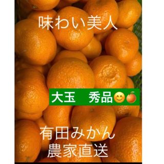 有田みかん農家直送🌟ブランド味わい美人大玉秀品箱込み5キロ(フルーツ)