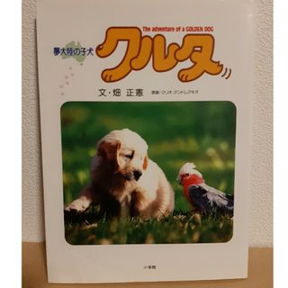 夢大陸の子犬クルタ(絵本/児童書)