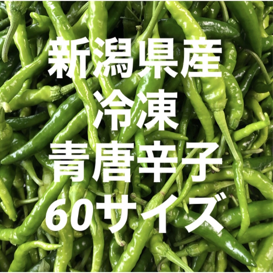 新潟県産　冷凍　青唐辛子　60サイズにいっぱい 食品/飲料/酒の食品(野菜)の商品写真