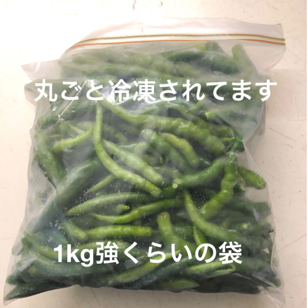 新潟県産　冷凍　青唐辛子　60サイズにいっぱい 食品/飲料/酒の食品(野菜)の商品写真