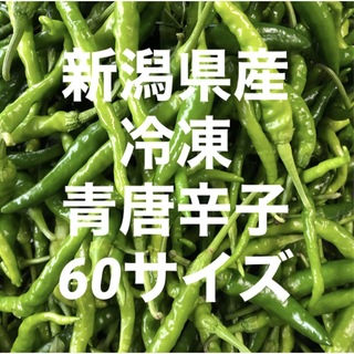 新潟県産　冷凍　青唐辛子　60サイズにいっぱい(野菜)