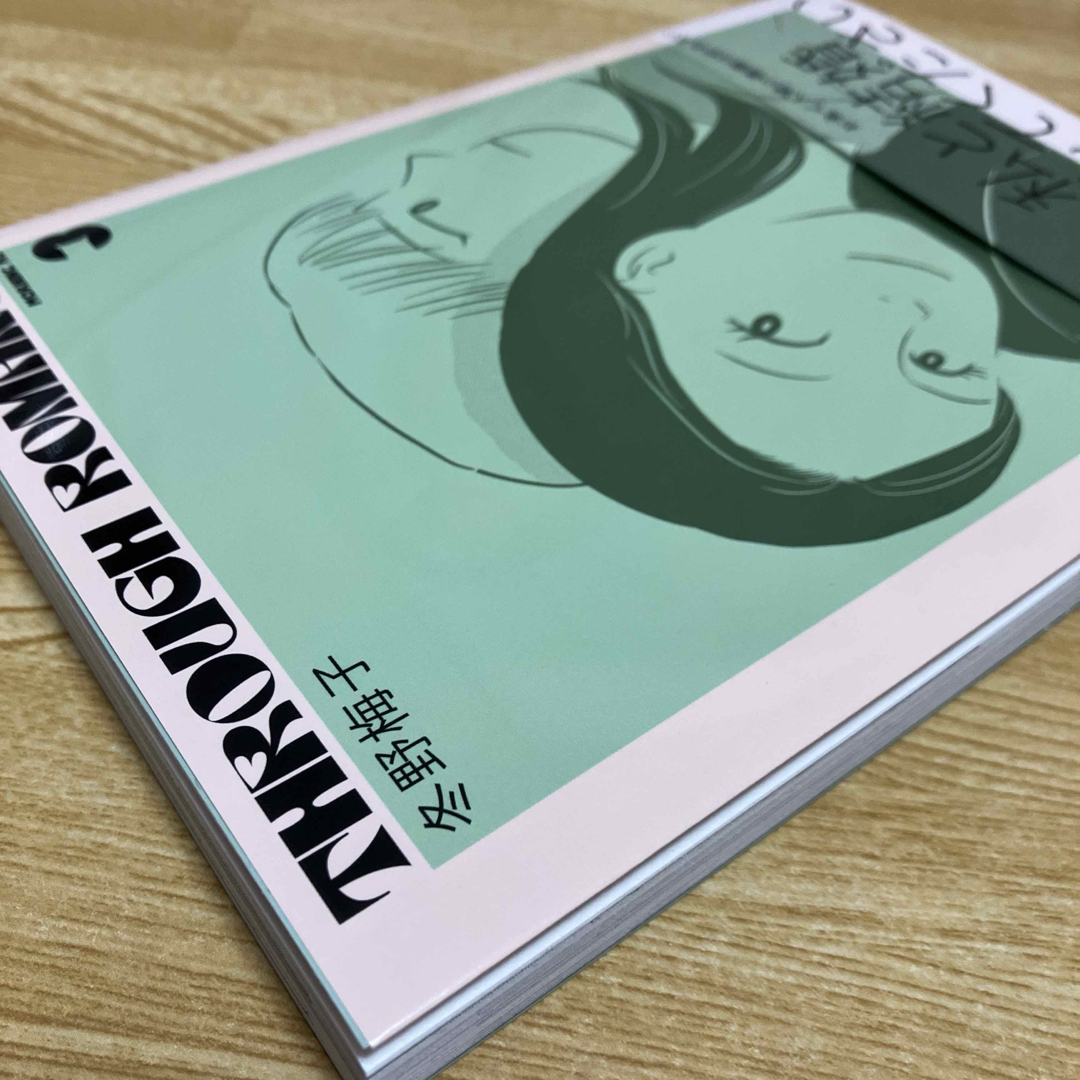 スルーロマンス 3巻  冬野梅子 最新刊 エンタメ/ホビーの漫画(青年漫画)の商品写真