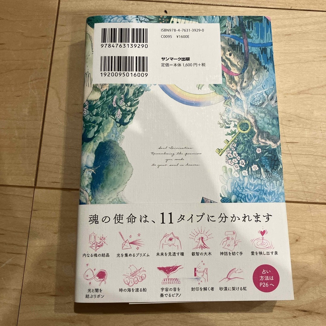 魂占い エンタメ/ホビーの本(住まい/暮らし/子育て)の商品写真