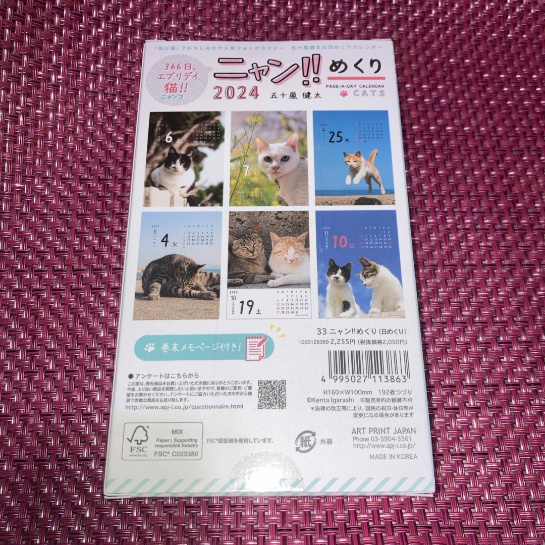 366日、エブリデイ猫！ニャンコめくり　2024　五十嵐健太 エンタメ/ホビーのおもちゃ/ぬいぐるみ(キャラクターグッズ)の商品写真