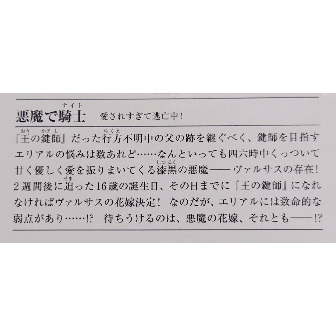 悪魔で騎士 愛されすぎて逃亡中！、迫られすぎて恋わずらい【2冊セット】 エンタメ/ホビーの本(文学/小説)の商品写真