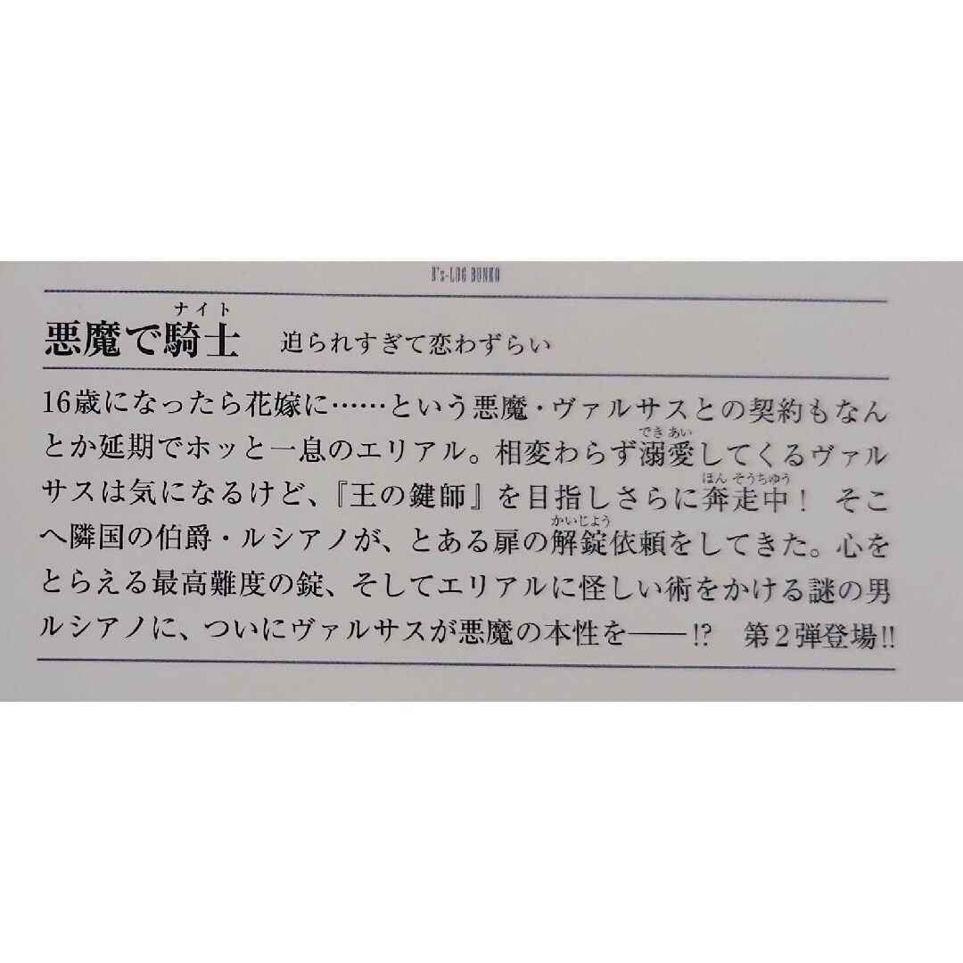 悪魔で騎士 愛されすぎて逃亡中！、迫られすぎて恋わずらい【2冊セット】 エンタメ/ホビーの本(文学/小説)の商品写真