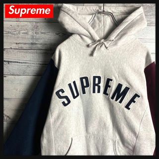 シュプリーム(Supreme)の【超希少カラー】シュプリーム☆ アーチロゴ マルチカラー パーカー　即完売(パーカー)