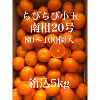 愛媛県産みかん ちびちび小玉 南柑20号 箱込5kg 柑橘ミカン 果物(フルーツ)