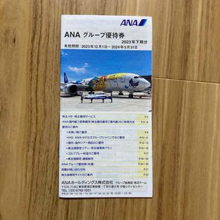 エーエヌエー(ゼンニッポンクウユ)(ANA(全日本空輸))のANA グループ優待券　1冊(その他)