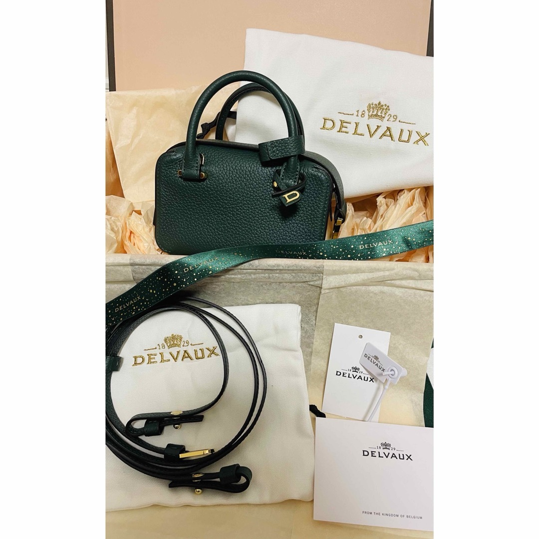 DELVAUX(デルヴォー)の【定価以下】レア♪Delvaux デルボー クールボックス　ナノ　forest  レディースのバッグ(ショルダーバッグ)の商品写真