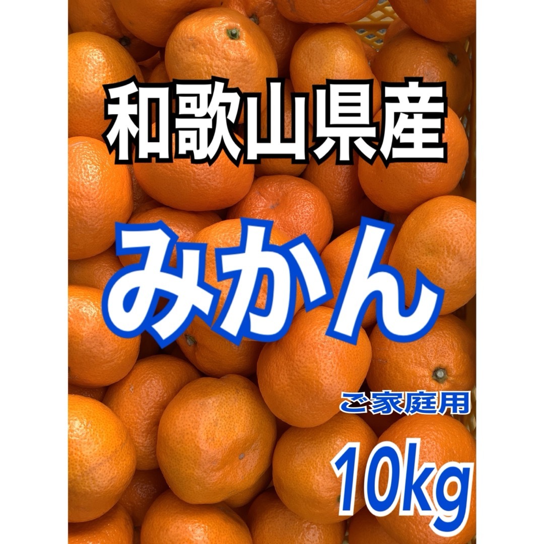 和歌山　みかん　10kg 食品/飲料/酒の食品(フルーツ)の商品写真