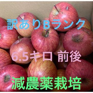 年末年始太り解消！減農薬栽培山形県東根市産　ふじりんご訳ありBランク6.5k前後(フルーツ)