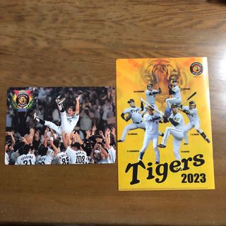 2023年JRA×Tigersのクリアファイル非売品　2003年阪神優勝下敷(記念品/関連グッズ)