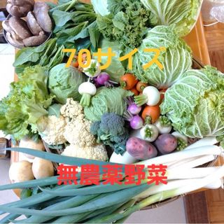 無農薬野菜　70サイズ　常温発送(野菜)