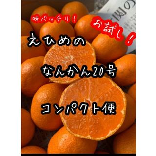 愛媛県産　南柑20号みかん　コンパクト便　 柑橘　ミカン(フルーツ)