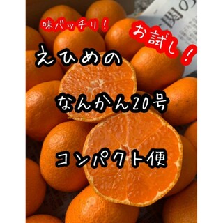 愛媛県産　南柑20号みかん　コンパクト便　 柑橘　ミカン(フルーツ)
