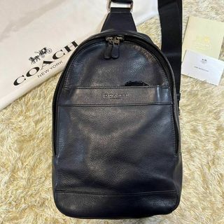 コーチ(COACH) レザー メンズバッグ（シルバー/銀色系）の通販 100点