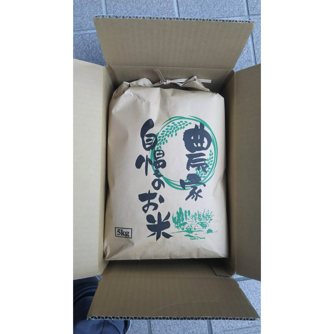レンゲ米 令和5年新米 5kg キヌヒカリ 無洗米 れんげ米 減農薬 淡路島産 食品/飲料/酒の食品(米/穀物)の商品写真