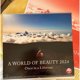 JAL(日本航空) - ★値下げ　JAL 壁かけカレンダー　A WORLD OF BEAUTY 2024