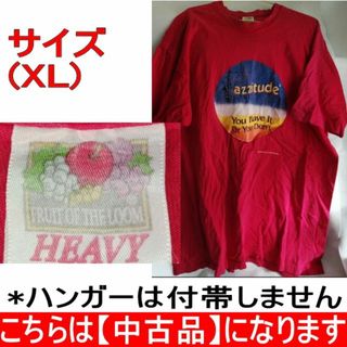 フルーツオブザルーム(FRUIT OF THE LOOM)の【中古】FRUIT OF THE LOOM Tシャツ(L)(Tシャツ/カットソー(半袖/袖なし))