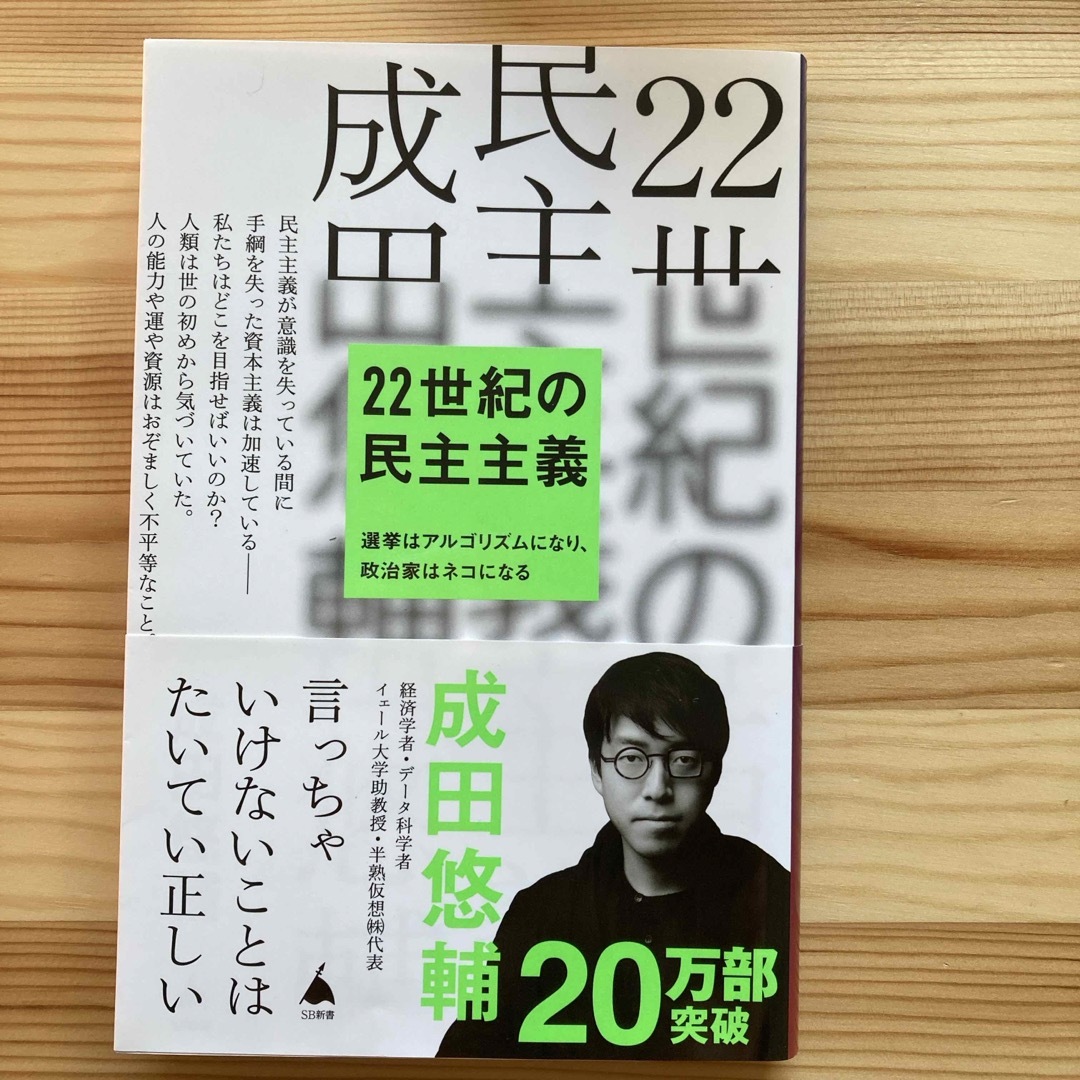 ２２世紀の民主主義 エンタメ/ホビーの本(その他)の商品写真