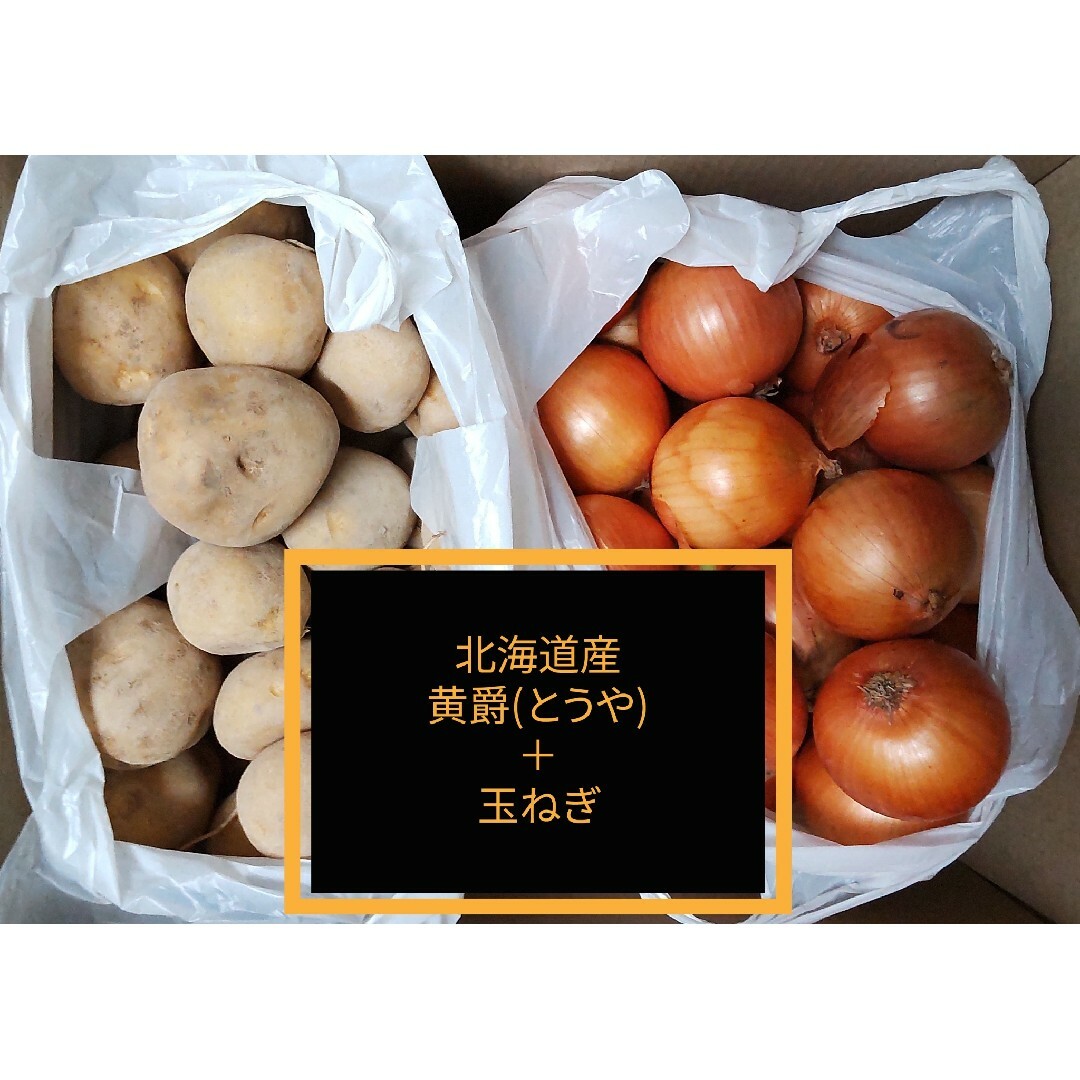 ◆北海道産ジャガイモ【黄爵(とうや)】訳あり品＋玉ねぎ Ｍサイズ 約１０キロ 食品/飲料/酒の食品(野菜)の商品写真