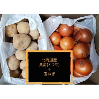 ◆北海道産ジャガイモ【黄爵(とうや)】訳あり品＋玉ねぎ Ｍサイズ 約１０キロ(野菜)
