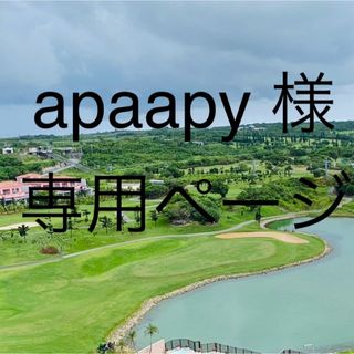 エンビロン(ENVIRON)のayaapy 様専用ページ(フェイスクリーム)