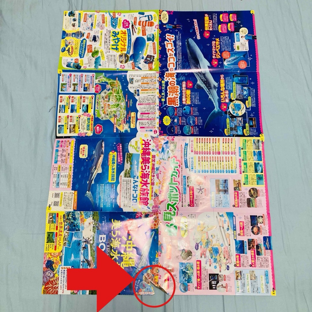 るるぶ　'24 　沖縄　クーポン付 エンタメ/ホビーの本(地図/旅行ガイド)の商品写真