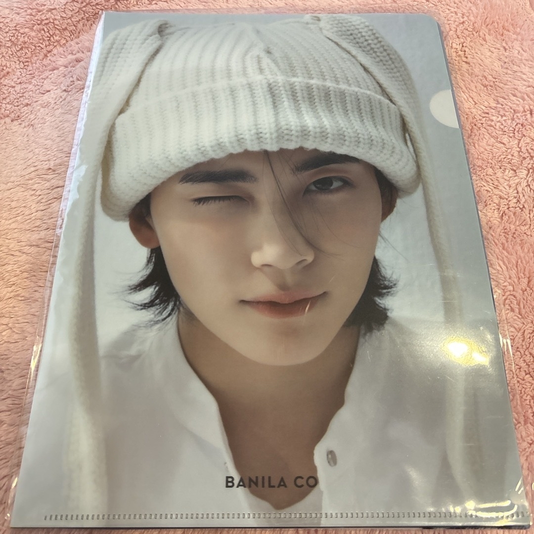 SEVENTEEN(セブンティーン)の SEVENTEENジョンハン  バニラコ　ファイル エンタメ/ホビーのCD(K-POP/アジア)の商品写真