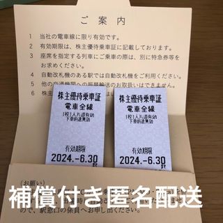 東武鉄道　株主優待乗車証　電車全線　2枚　(鉄道乗車券)